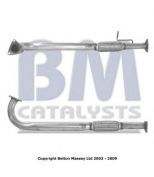 BM CATALYSTS - BM70024 - 